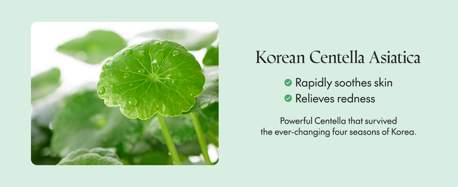 Purito Wonder Releaf Centella Serum Unscented Main Ingredient 1 Purito Wonder Releaf Centella Serum Unscented