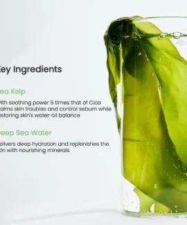 Biodance Refreshing Sea Kelp Real Deep Mask Key Ingredients Biodance Refreshing Sea Kelp Real Deep Mask